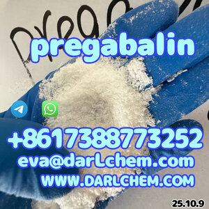 High Quality otropics pregabalin