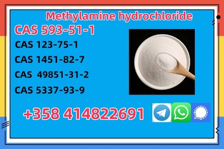 Buy High Quality CAS 593-51-1 Methylamine Hydrochloride at Best