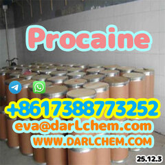 Procaine crystals Powder 59-46-1