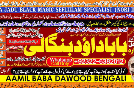 Italy No1 best online istikhara manpasand shadi online love prob