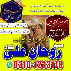 amil baba kala jadu expert, amil