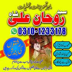 amil baba kala jadu expert, amil