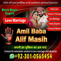 vashikaran expert in usa, amil