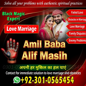vashikaran expert in usa, amil
