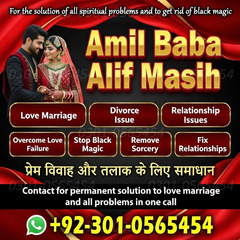 vashikaran expert in usa, amil