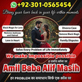 vashikaran expert in usa, amil