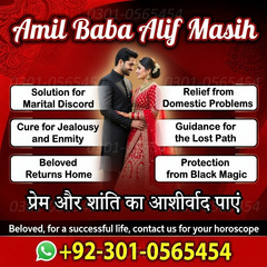 vashikaran expert in usa, amil
