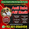 vashikaran expert in usa, amil