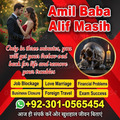 vashikaran expert in usa, in uk