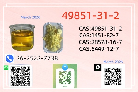 Hot sailing 28578-16-7 PM.K New BM.K 5449-12-7 CAS 49851-31-2