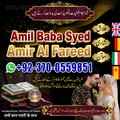 amil baba in usa, amil baba uk