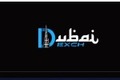 A Day in the Life of a Bettor Using DubaiExchange247
