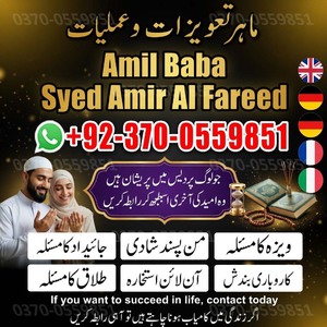 love marriage specialist, amil b