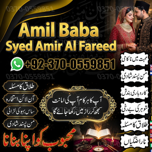 love marriage specialist, amil b