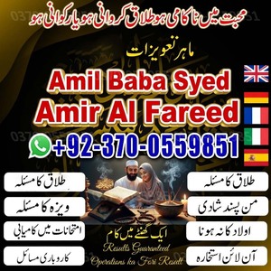 love marriage specialist, amil b