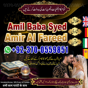 love marriage specialist, amil b