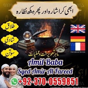 love marriage specialist, amil b