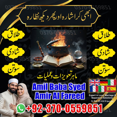 love marriage specialist, amil b