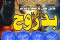 Authentic Amil Baba Pakistan,Black Magic Specialist Amil Baba in