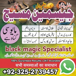 amil baba pakistan, Amil Baba in
