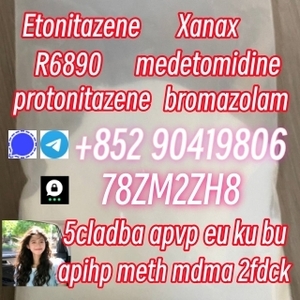 protonitazene cas119276-01-6