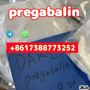 Purity  powder 99% pregabalin cr