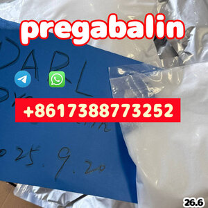 Purity  powder 99% pregabalin cr