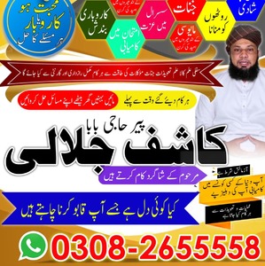 no1 amil baba in pakistan, USA