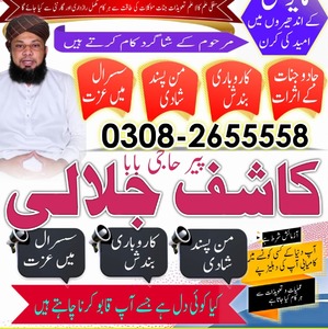 no1 amil baba in pakistan, USA
