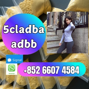 5cladba 5cladbb yellow Powder