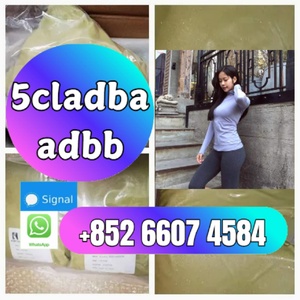 5cladba 5cladbb yellow Powder