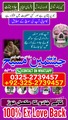 amil baba pakistan, Amil Baba uk