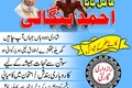 NO1 Pandit Amil Baba In Pakistan,Black Magic Specialist Amil Bab