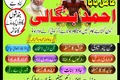 world famouse bangali amil baba in Malaysia Top bangali baba in