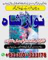 hindu amil baba contact number,