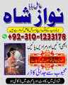 hindu amil baba contact number,