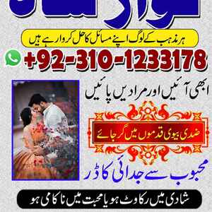 hindu amil baba contact number,