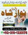 hindu amil baba contact number,