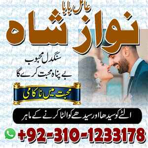 hindu amil baba contact number,