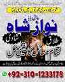 hindu amil baba contact number,