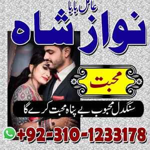 hindu amil baba contact number,