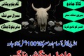 NO1 WorldWide Amil baba Contact Number Kala ilam Specialist