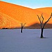 Dead Vlei, Namibia © by Filip Kulisev,Master QEP, FBIPP.jpg