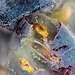 6_Guenhael-Kessler-In-the-tank-during-alcoholic-fermentation_LoRes.jpg
