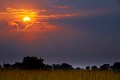 Botswana – Delta rieky Okavango