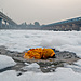© Sachin Ghai, India, Shortlist, Professional competition, Environment, Sony World Photography Awards 2024.jpg