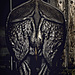 © Haider Khan, India, Finalist, Professional competition, Wildlife & Nature, Sony World Photography Awards 2024 .jpg