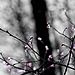 IMG_2575__880.jpg