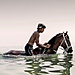 © Javier Arcenillas, Spain, Shortlist, Professional competition, Environment, Sony World Photography Awards 2024.jpg