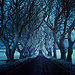 road-landscape-photography-andy-lee-13.jpg